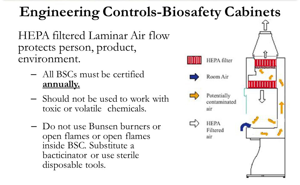 The Abc Of Laminar Air Flow Laf