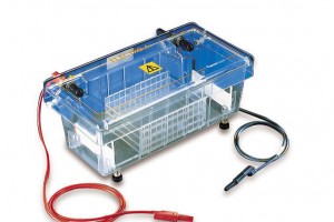 5 THINGS YOU SHOULD KNOW ABOUT ELECTROPHORESIS SYSTEM