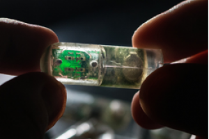 Synthetic Bacteria Drive New Ingestible Gut Sensor