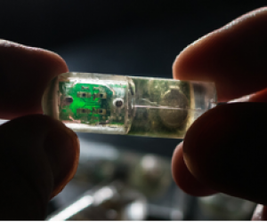 Synthetic Bacteria Drive New Ingestible Gut Sensor