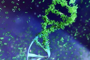 Microsoft Buys Into DNA Data Storage
