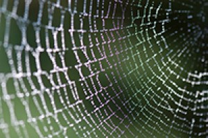 Green method developed for making artificial spider silk