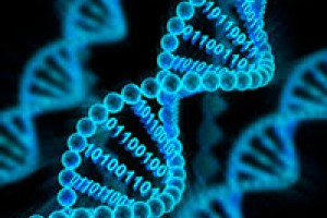 Scientists Store Video Data in the DNA of Living Organisms
