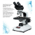 Research Binocular Microscope