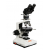 Binocular Polarizing Microscope