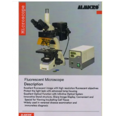 Fluorescent Microscope