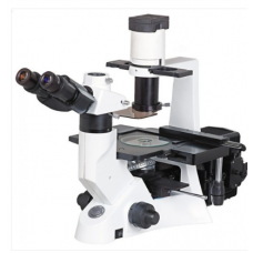 Inverted Tissue Culture Microscope