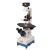 Tissue Culture Microscope