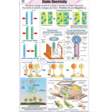 Static Electricity For Physics Chart