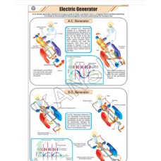 Electric Generator For Physics Chart