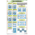 Plant Cell Meiosis For Botany Chart