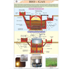 Bio - Gas For General Chart
