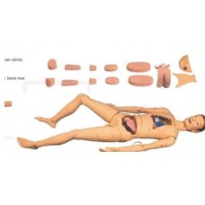 Training Manikin
