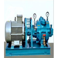Water Ring Vacuum Pump"