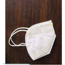 N95 Face Mask