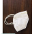N95 Face Mask