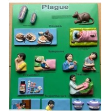 Plague Model