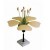Typical Flower Dissectable