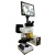 Digital Fluorescence Microscope