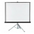 Projection Screen