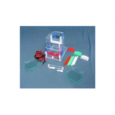 Vertical Electrophoresis Apparatus
