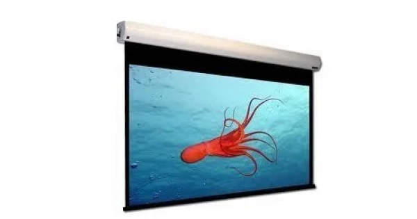 Buy Motorised Projection Screen get price for lab equipment