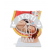 HUMAN PELVIS SECTION WITH BABY