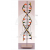 DNA Model