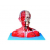 Head & Neck Anatomical Model