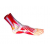 Foot Anatomy