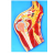 Shoulder Anatomy