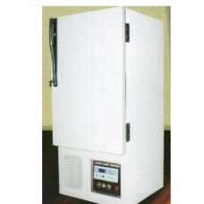 Vertical Freezer