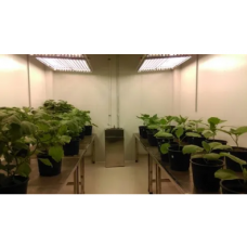 Arabidopsis Plant Growth Chamber