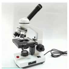 Biological Microscope