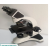 Advanced Binocular Microscope