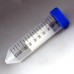 Test Tubes Test Tubes