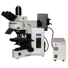 Fluorescence Microscope