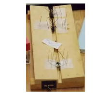 Buy Insect Spreading Board get price for lab equipment