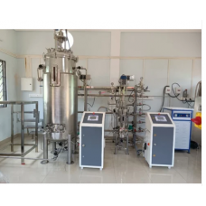 Twin Fermenters-Pilot Scale-Model