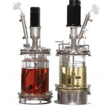 Autoclavable Fermenter 