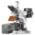 Fluorescence Microscope