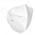 N95 Face Mask