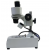Binocular Stereoscopic Microscopes