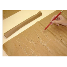 Seed Germination Paper