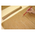 Seed Germination Paper