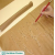 Seed Germinating Testing Paper