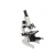 Microscope