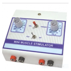 Mini Muscle Stimulator Machine