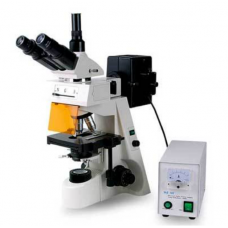 Fluorescence Microscopes