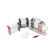 2D Vertical Electrophoresis Unit